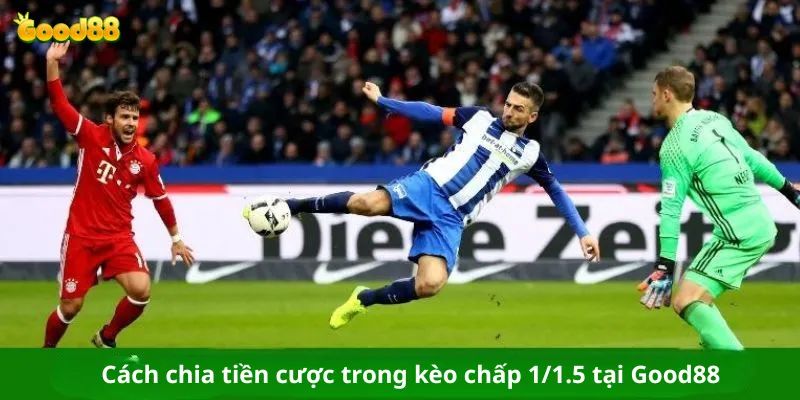 Cách chia tiền cược trong kèo chấp 1/1.5 tại Good88
